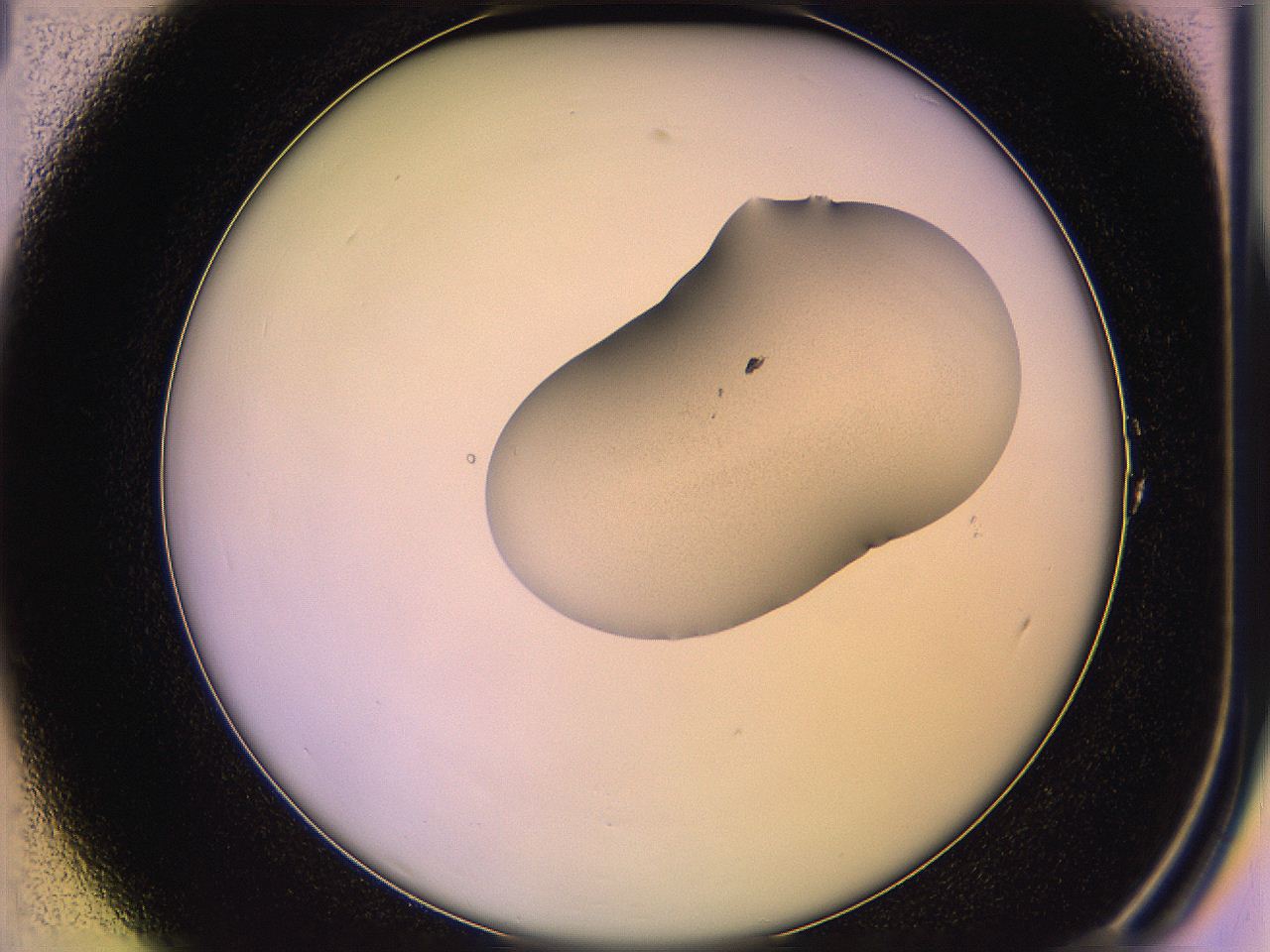 05qm_A1_ImagerDefaults_2.jpg