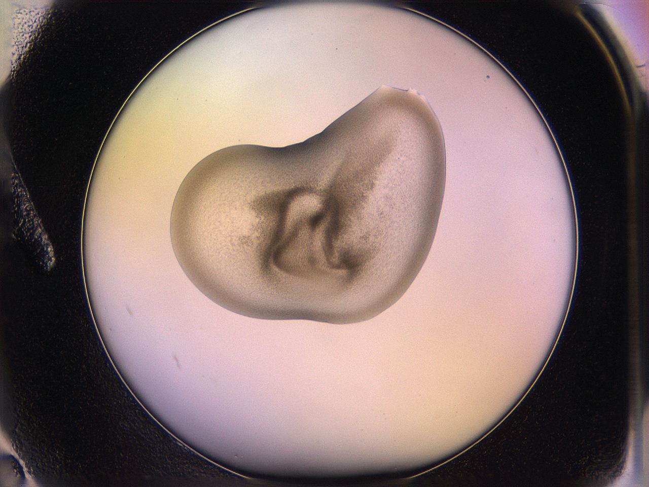 05qm_A2_ImagerDefaults_3.jpg