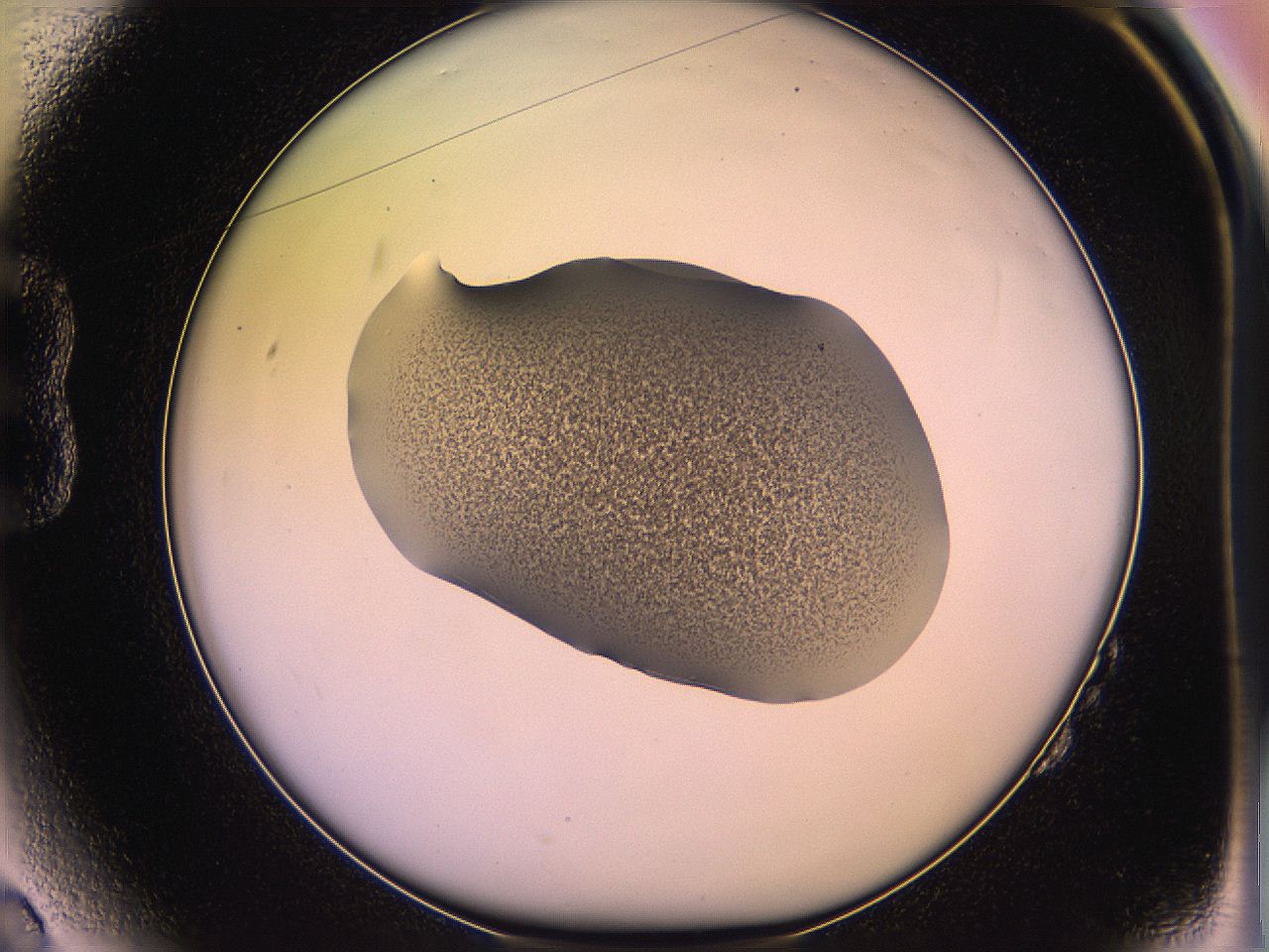 05qm_B2_ImagerDefaults_3.jpg