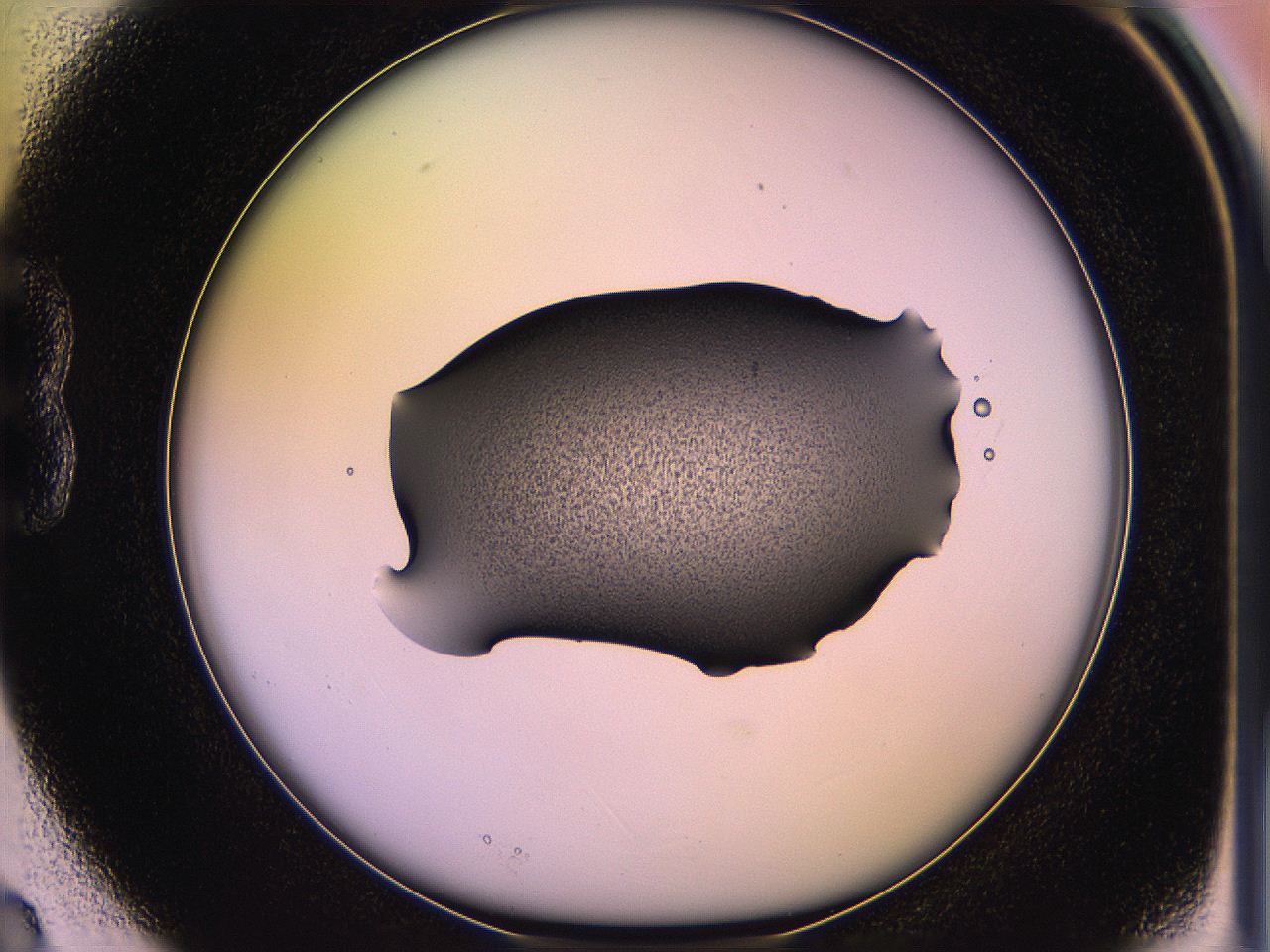 05qm_B3_ImagerDefaults_3.jpg