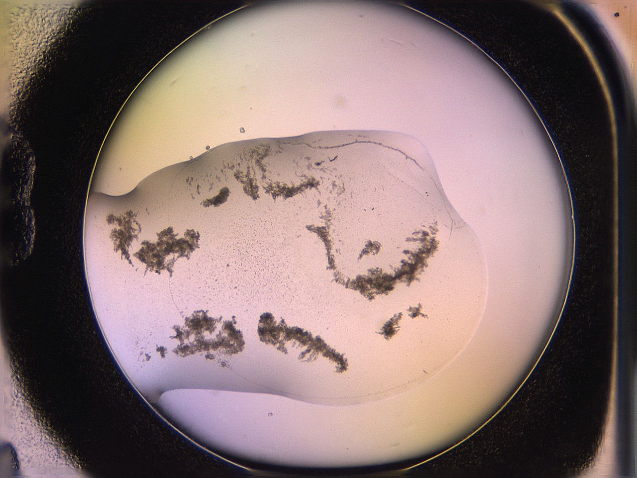 05qm_B4_ImagerDefaults_3.jpg