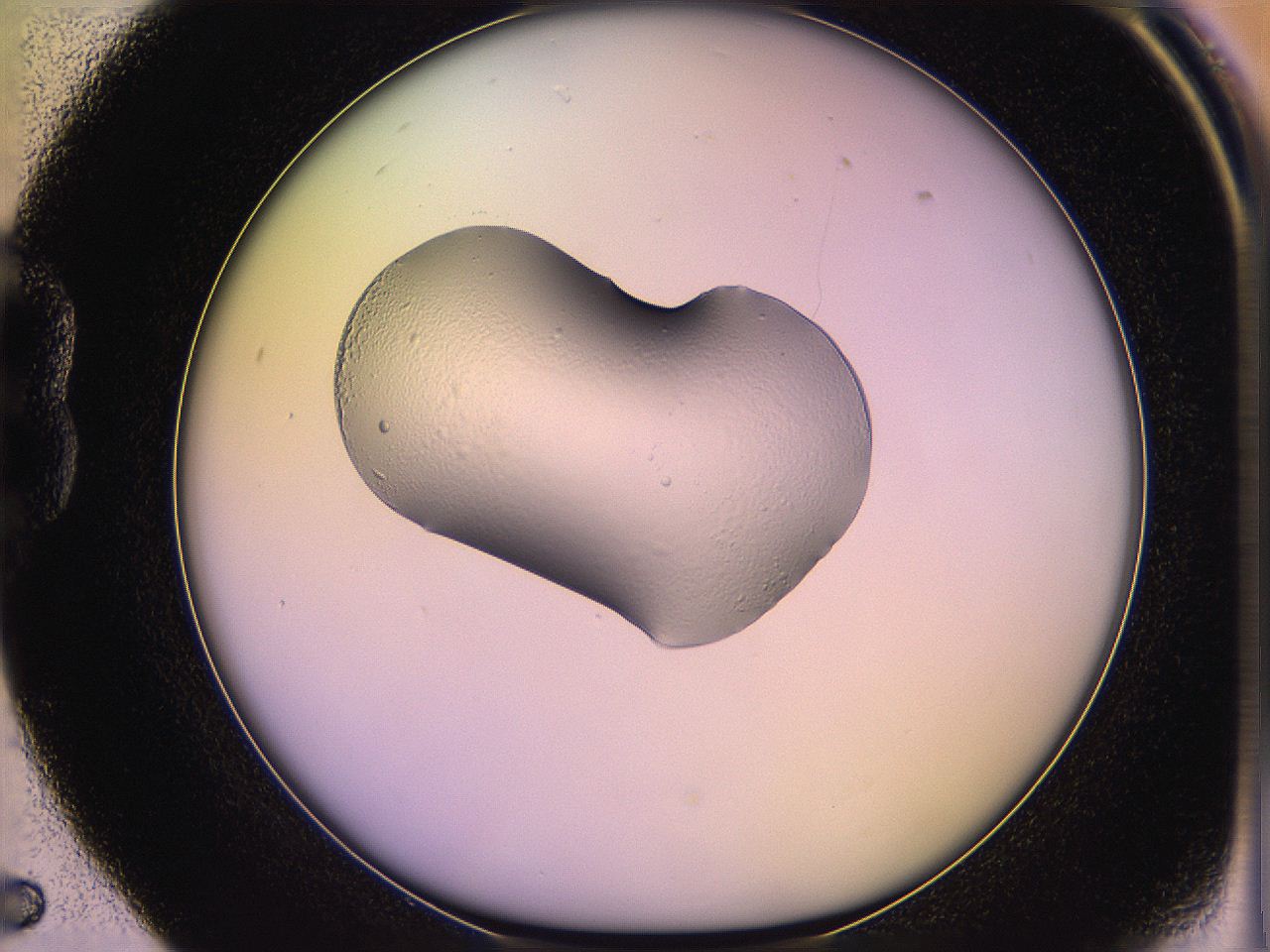 05qm_B5_ImagerDefaults_2.jpg