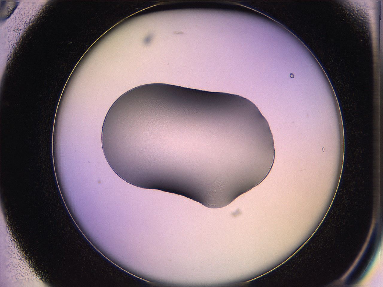 05qm_B5_ImagerDefaults_1.jpg