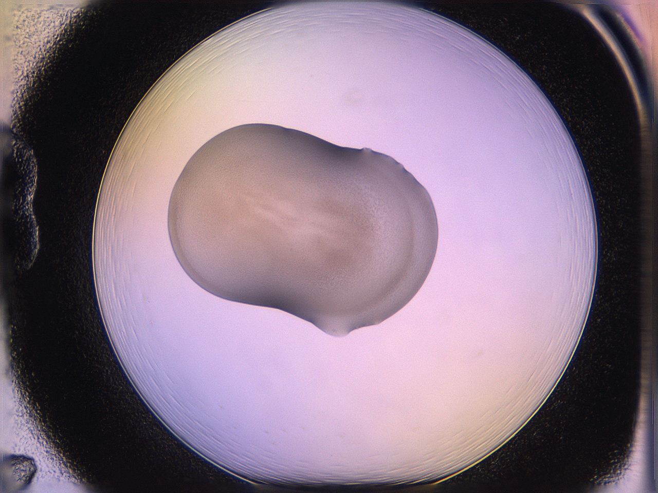 05qm_B7_ImagerDefaults_3.jpg