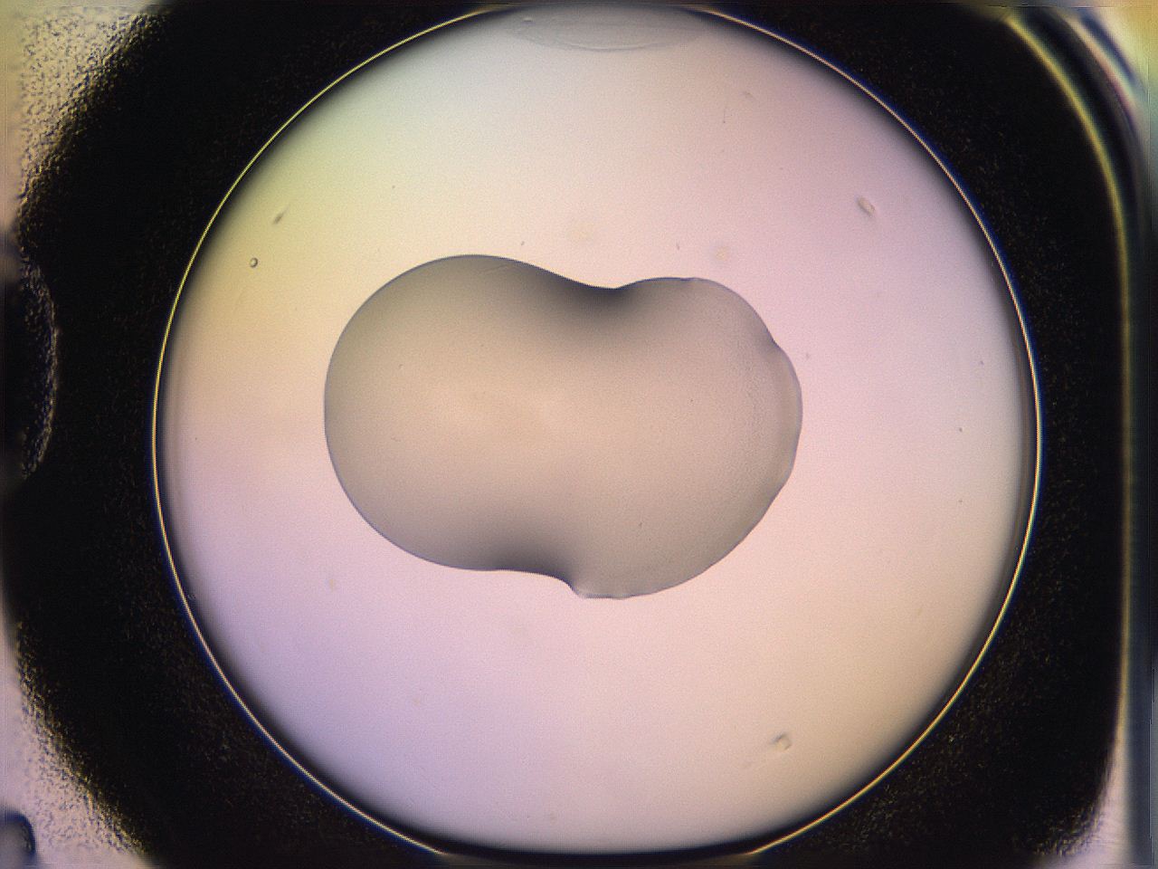 05qm_D4_ImagerDefaults_1.jpg