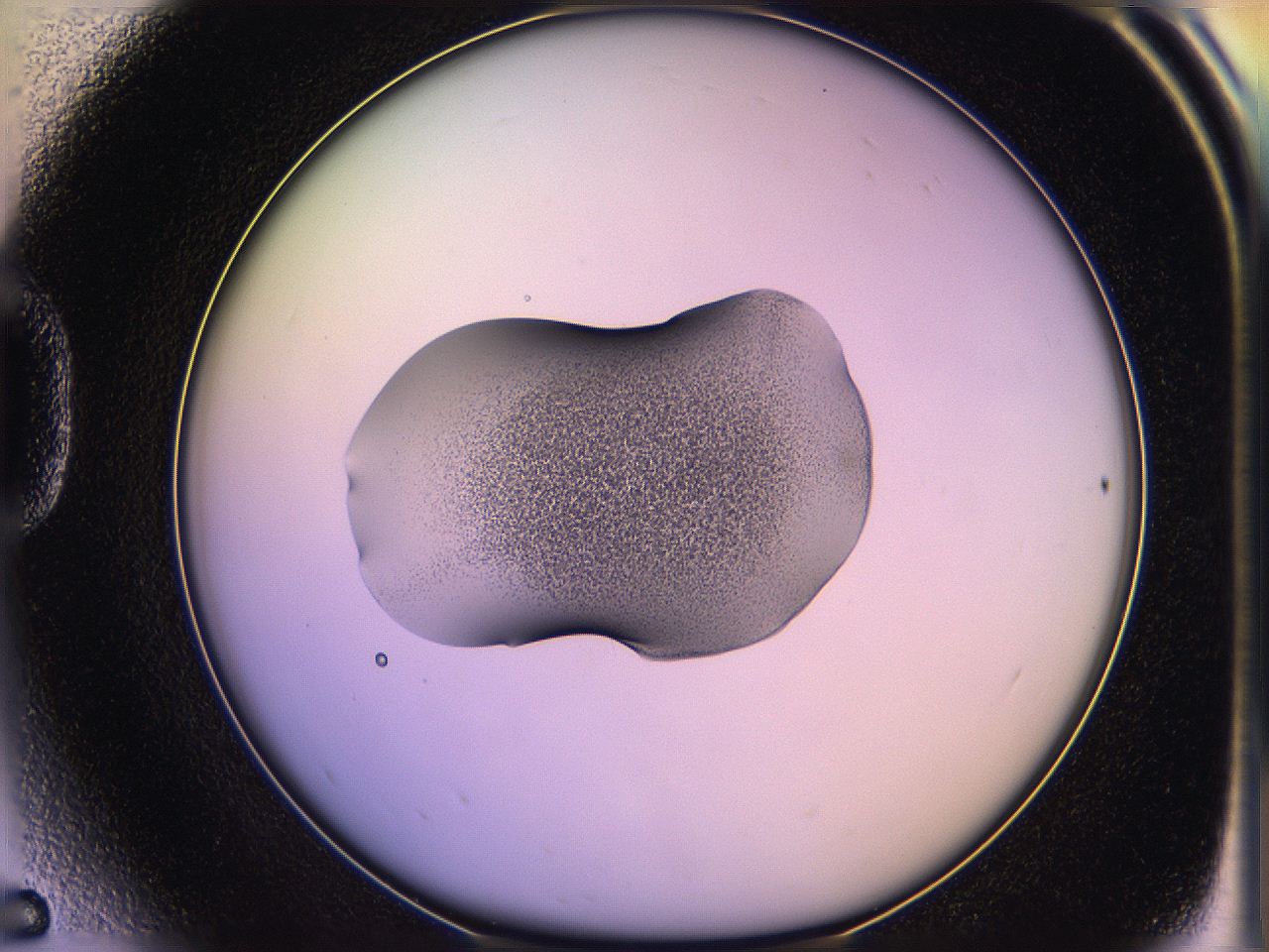 05qm_D5_ImagerDefaults_3.jpg