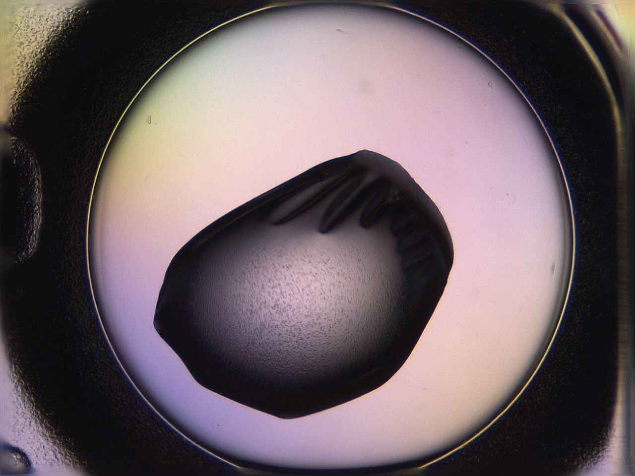 05qm_D6_ImagerDefaults_3.jpg