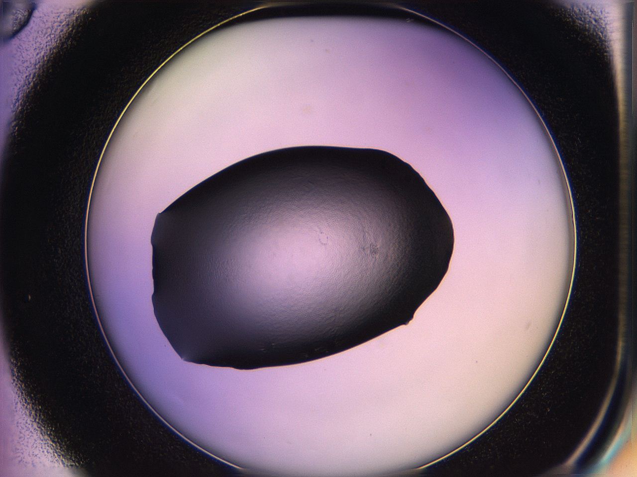 05qm_D6_ImagerDefaults_2.jpg