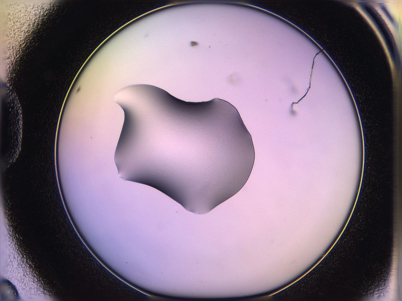05qm_D8_ImagerDefaults_1.jpg