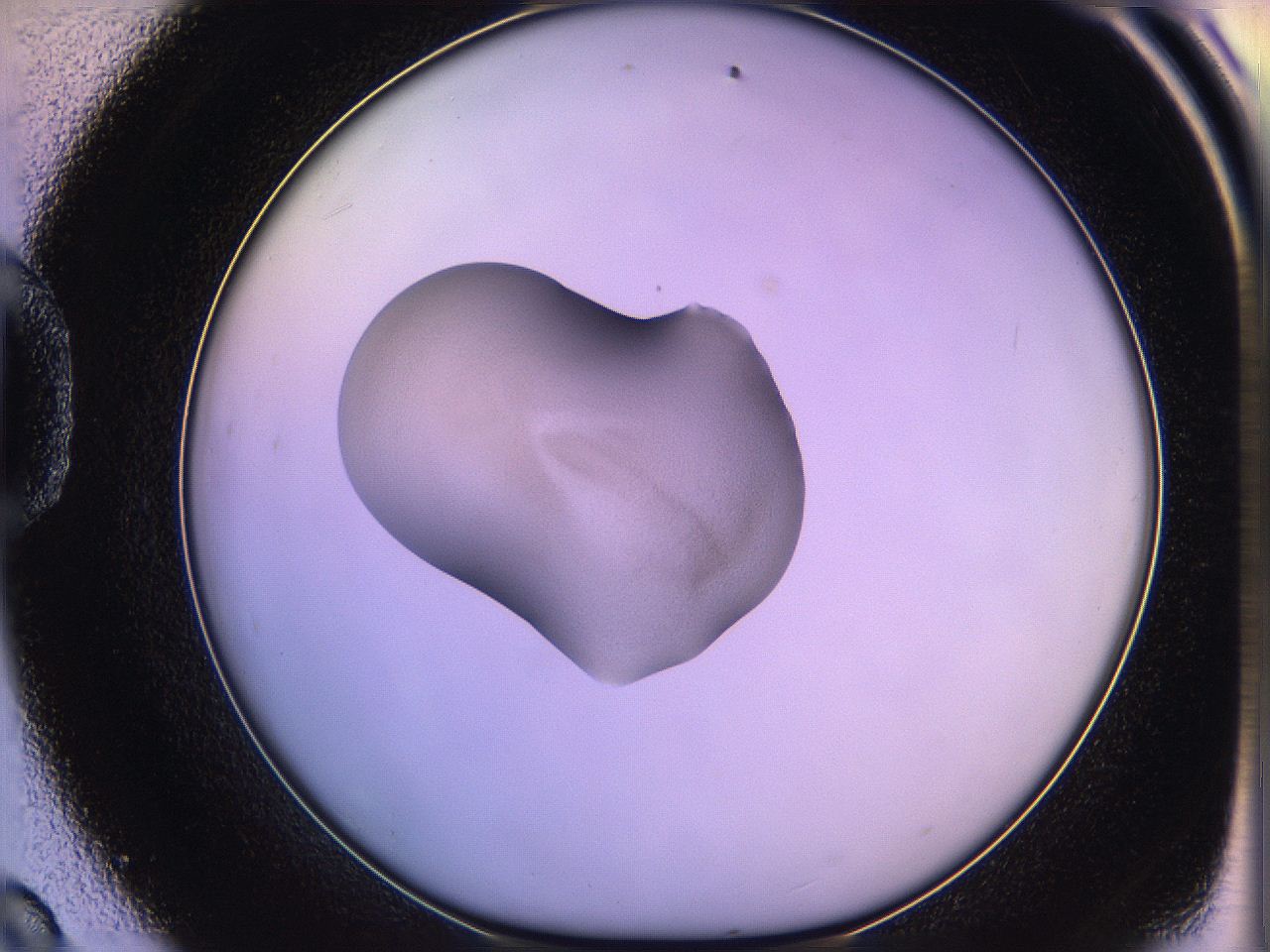 05qm_D9_ImagerDefaults_3.jpg