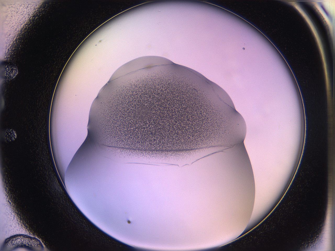 05qm_E10_ImagerDefaults_3.jpg