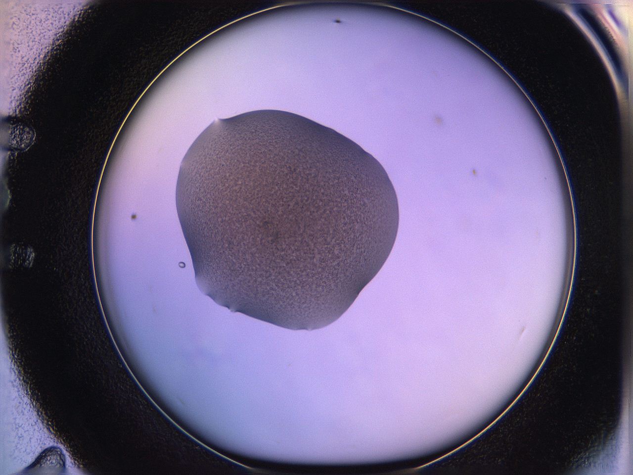 05qm_E11_ImagerDefaults_3.jpg