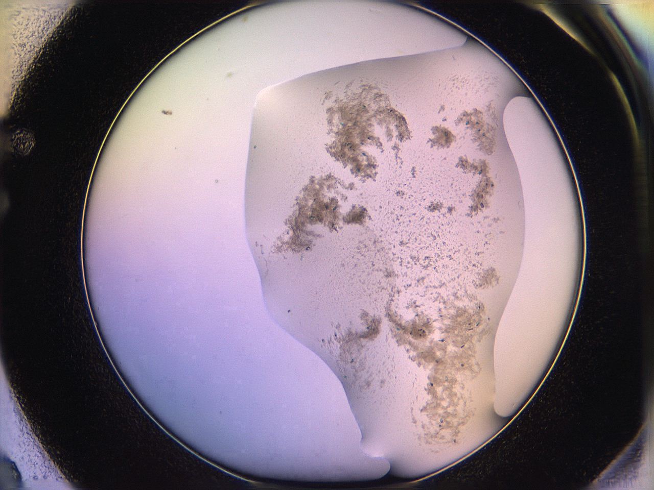 05qm_F2_ImagerDefaults_6.jpg