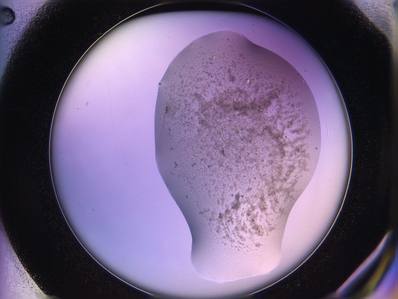 05qm_F2_ImagerDefaults_7.jpg