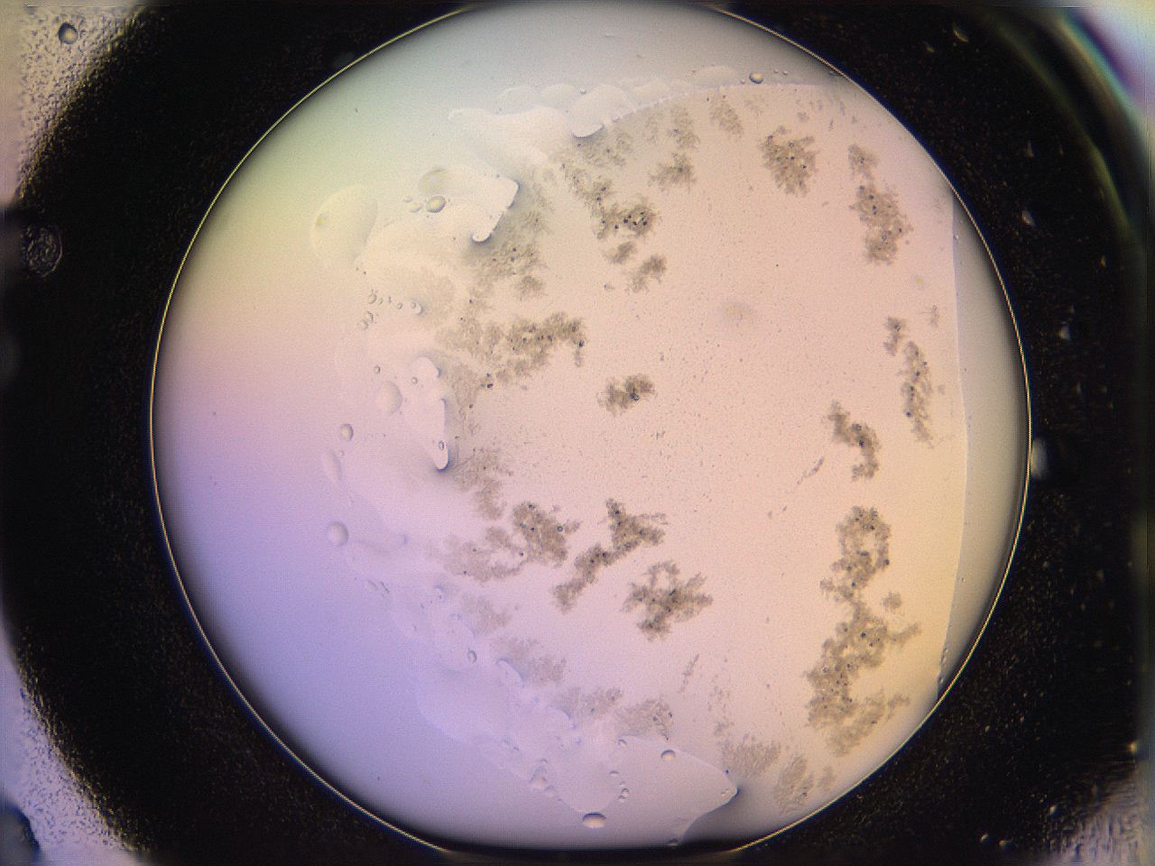 05qm_F3_ImagerDefaults_3.jpg
