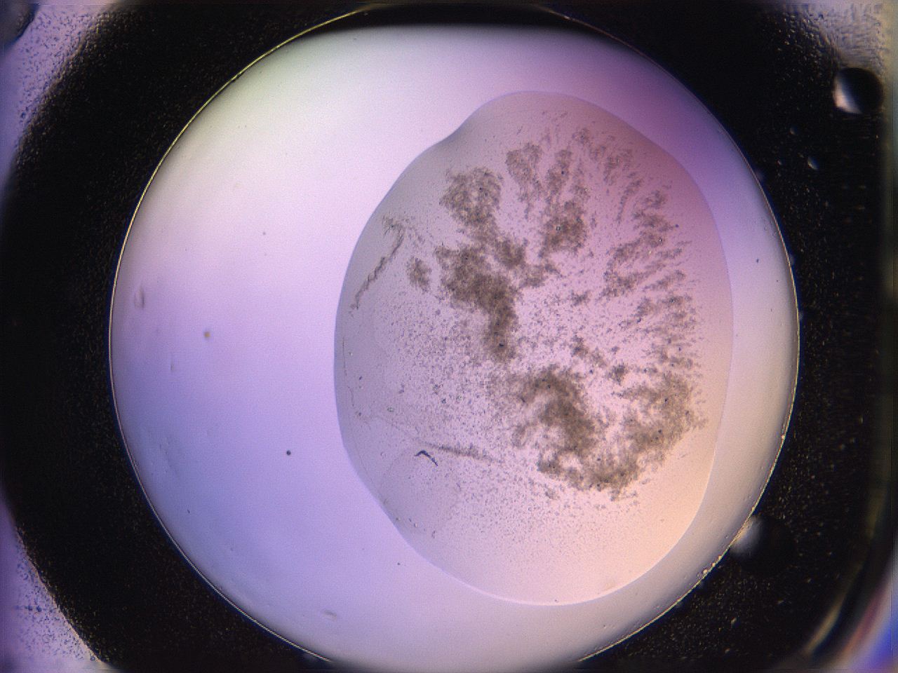 05qm_F3_ImagerDefaults_4.jpg