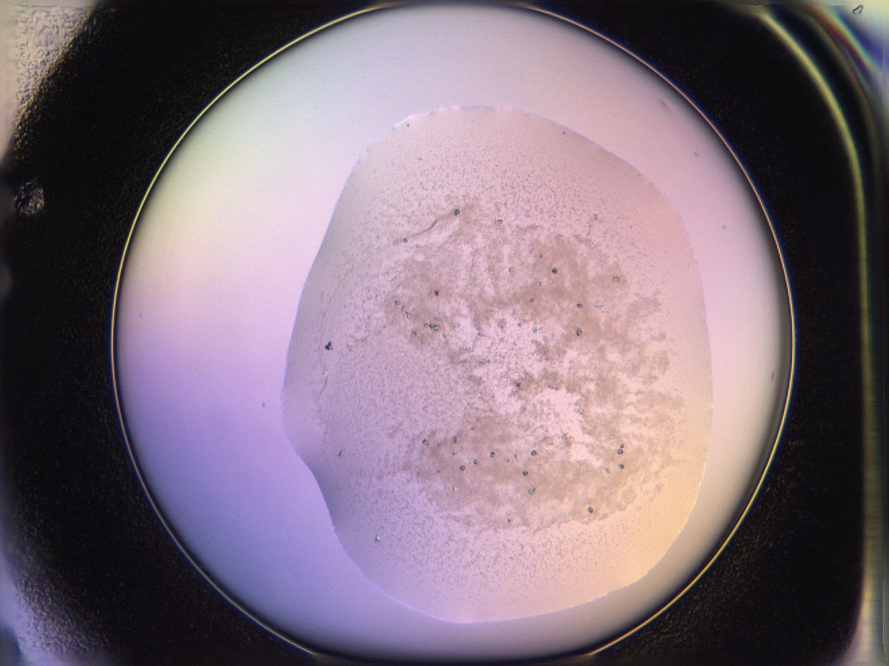 05qm_F4_ImagerDefaults_3.jpg