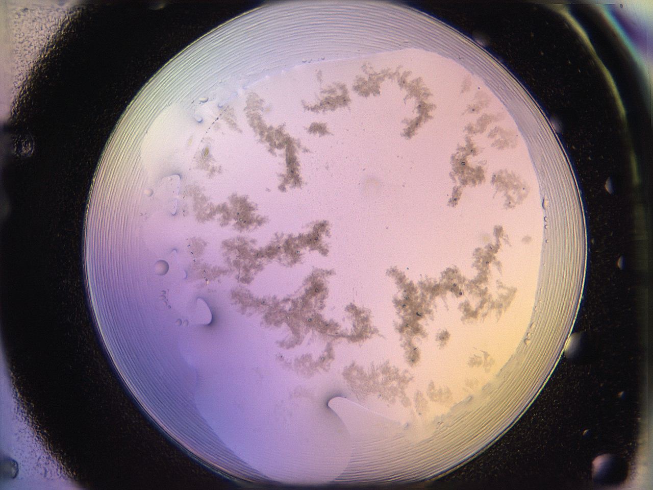 05qm_F5_ImagerDefaults_3.jpg