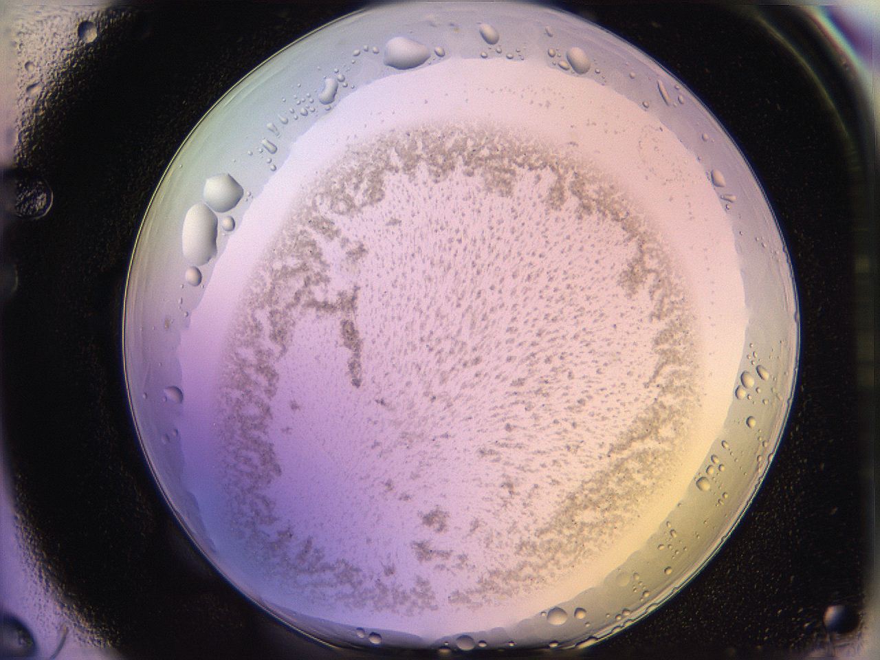 05qm_F6_ImagerDefaults_3.jpg