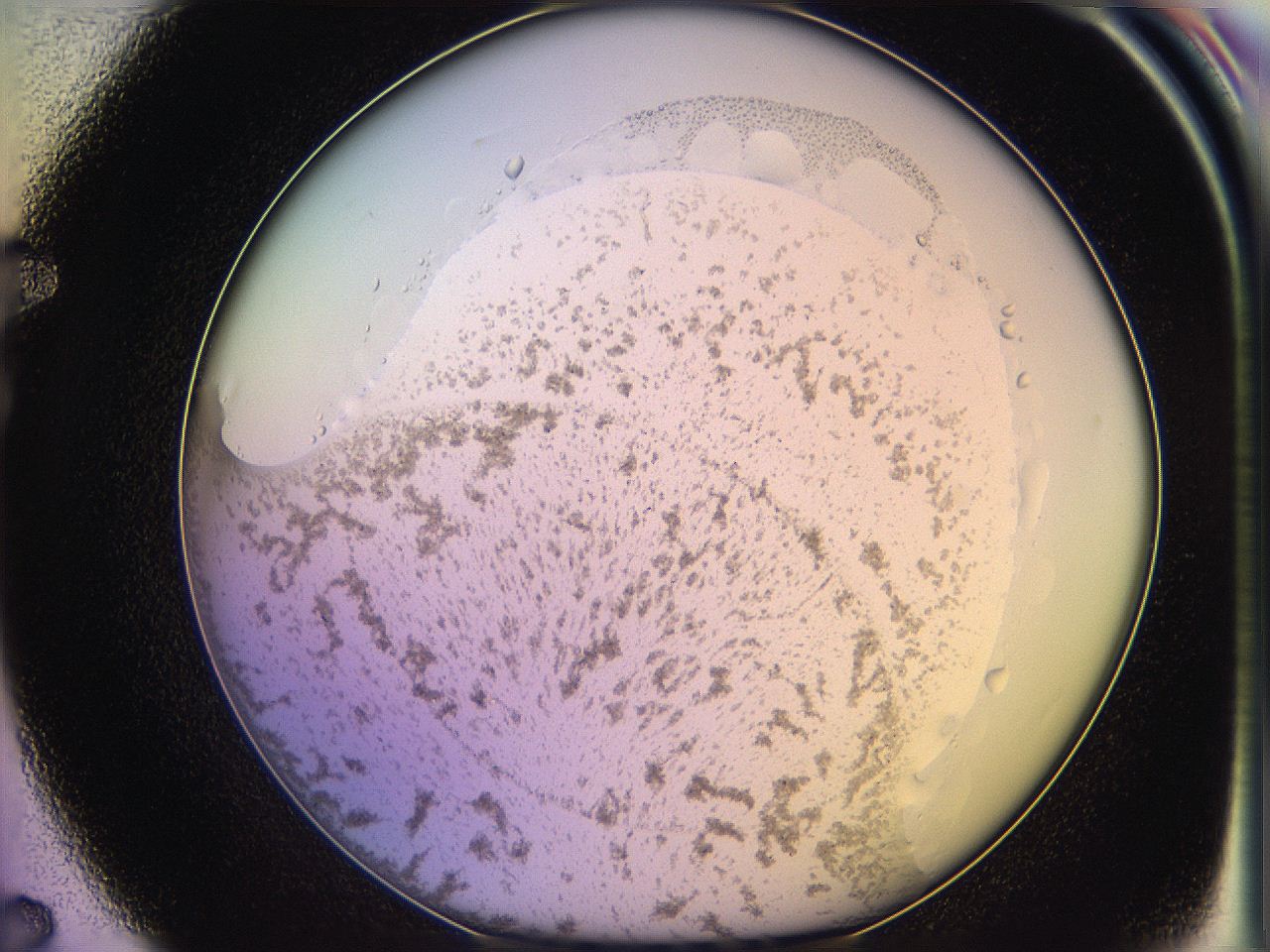 05qm_F7_ImagerDefaults_3.jpg