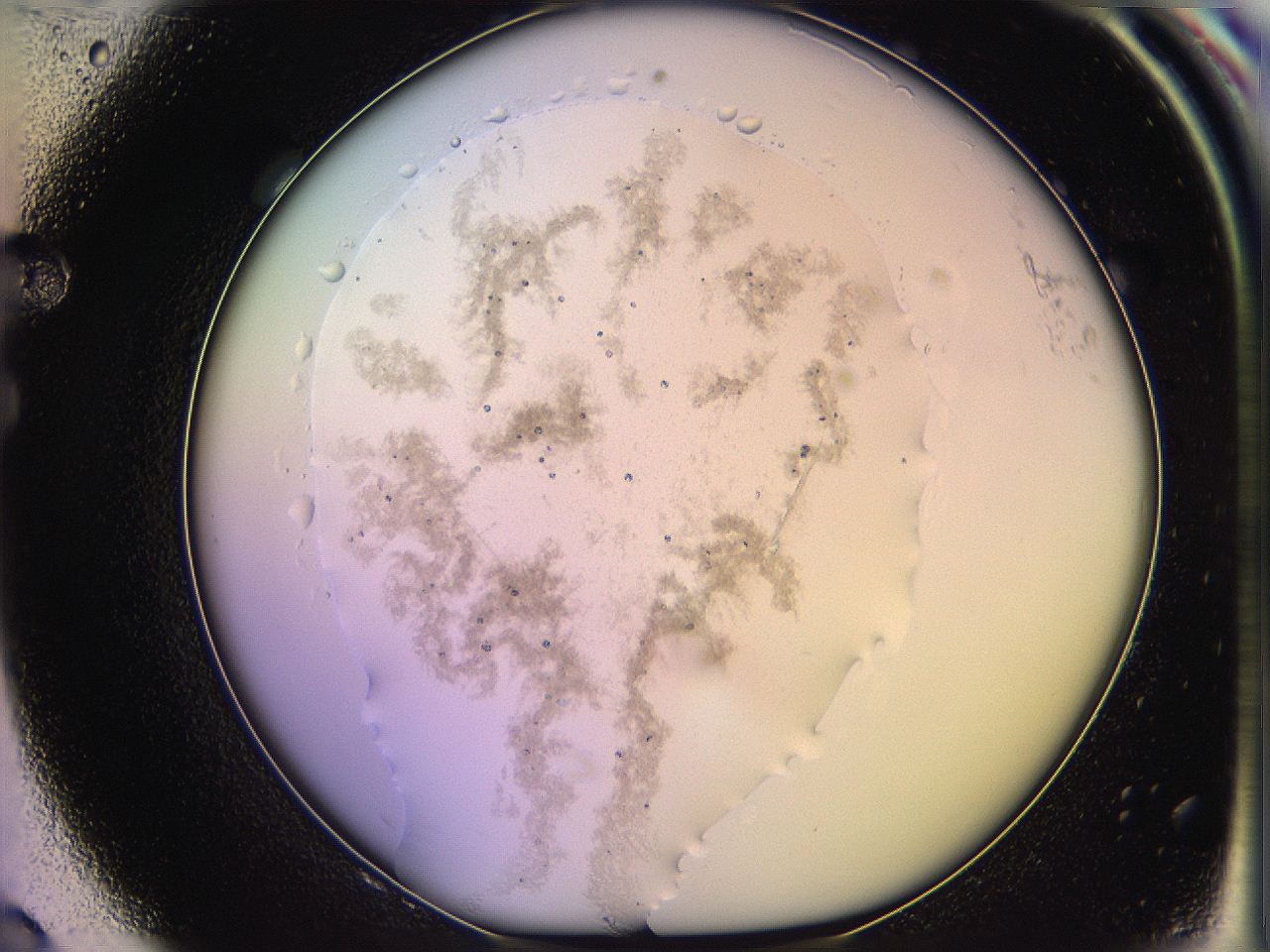 05qm_F8_ImagerDefaults_3.jpg