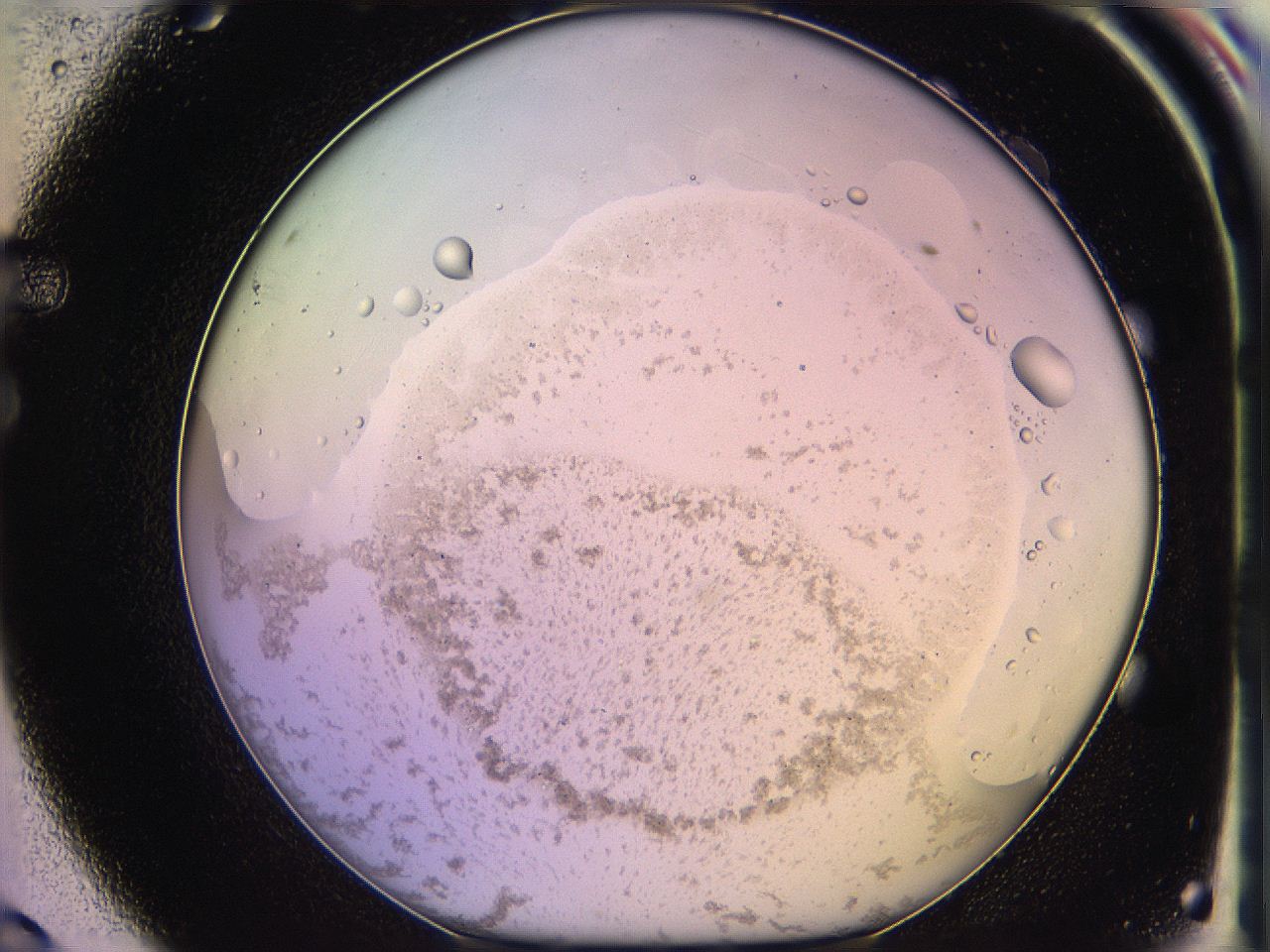 05qm_F9_ImagerDefaults_3.jpg