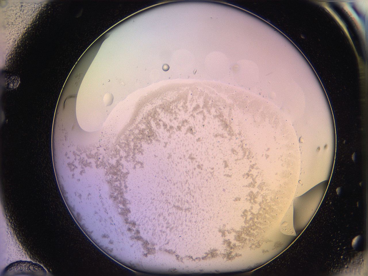 05qm_F10_ImagerDefaults_3.jpg