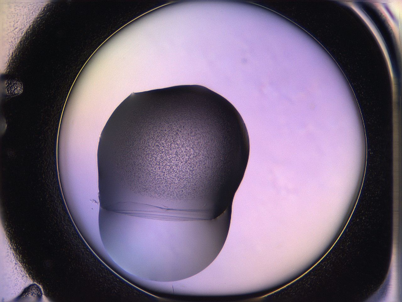 05qm_F11_ImagerDefaults_3.jpg