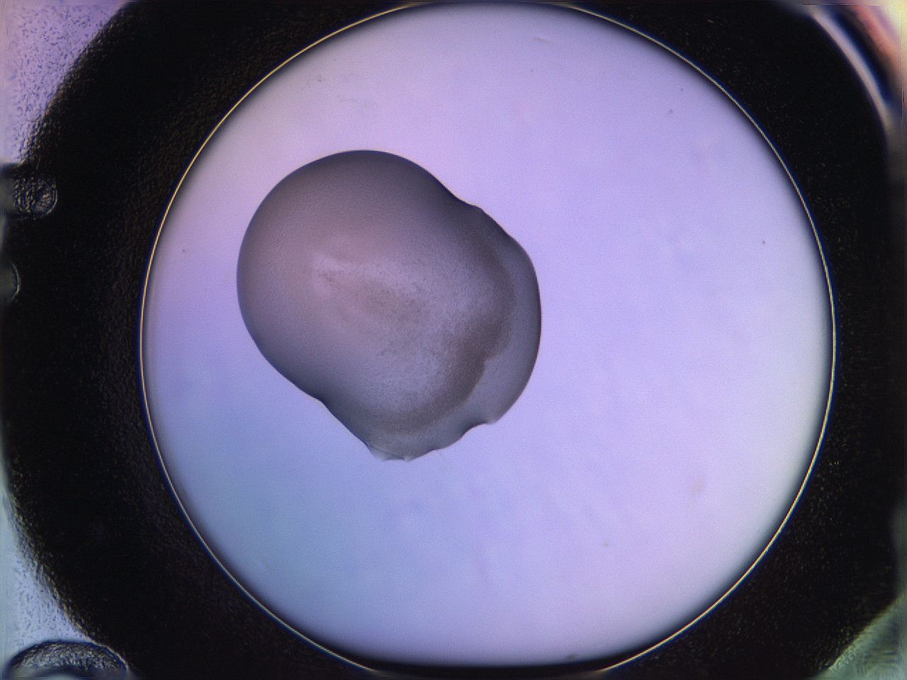 05qm_F12_ImagerDefaults_3.jpg
