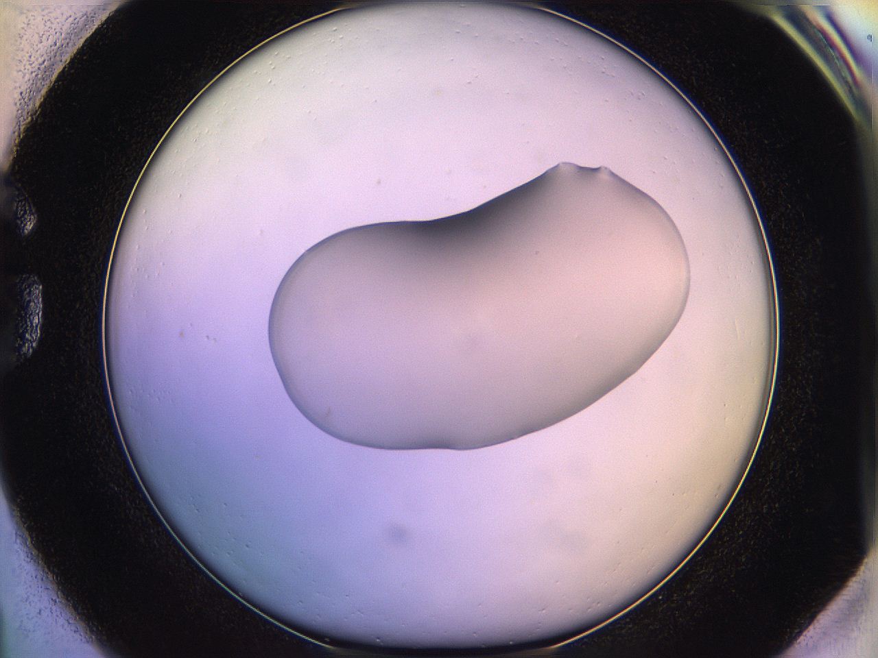 05qm_G1_ImagerDefaults_1.jpg