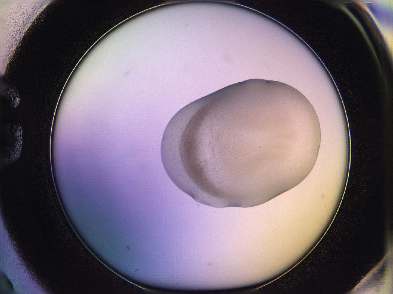 05qm_G2_ImagerDefaults_3.jpg
