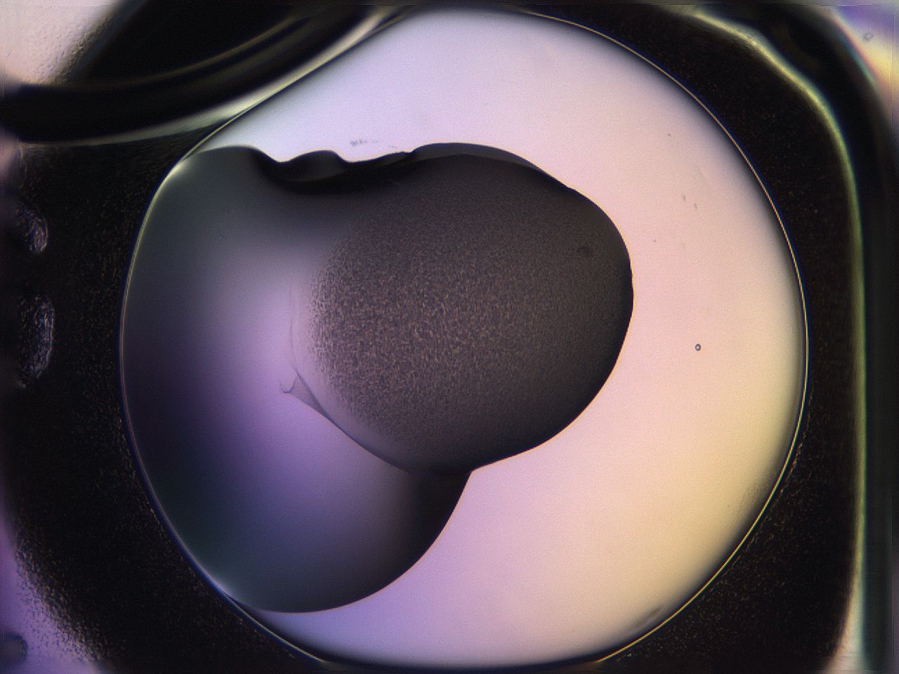 05qm_G5_ImagerDefaults_3.jpg