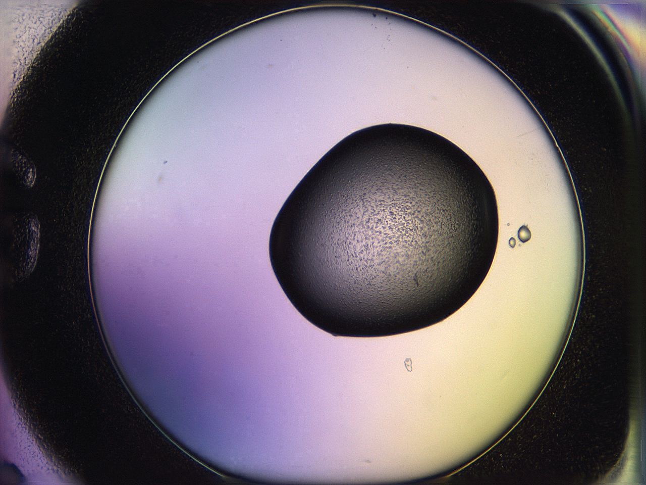 05qm_G6_ImagerDefaults_3.jpg