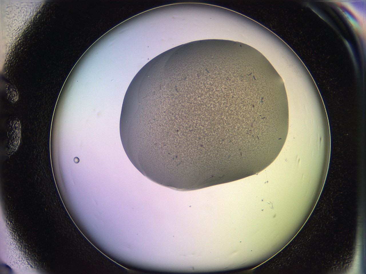 05qm_G8_ImagerDefaults_7.jpg