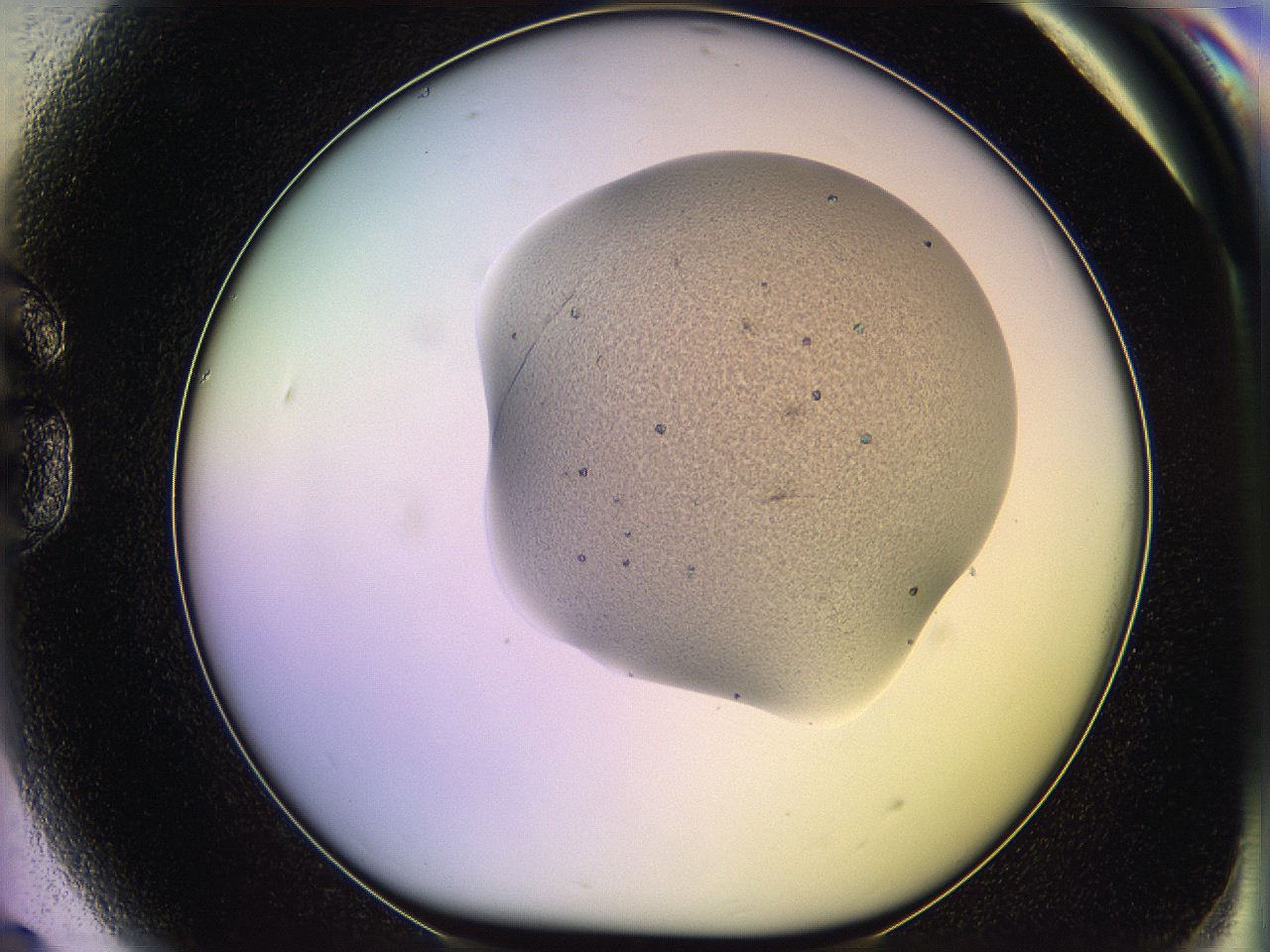 05qm_G9_ImagerDefaults_3.jpg
