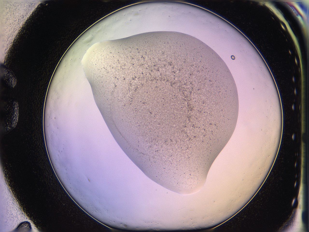 05qm_G11_ImagerDefaults_5.jpg