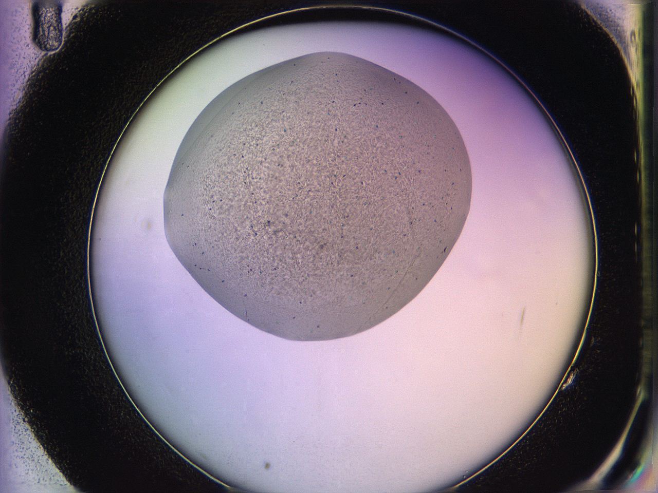 05qm_G11_ImagerDefaults_3.jpg
