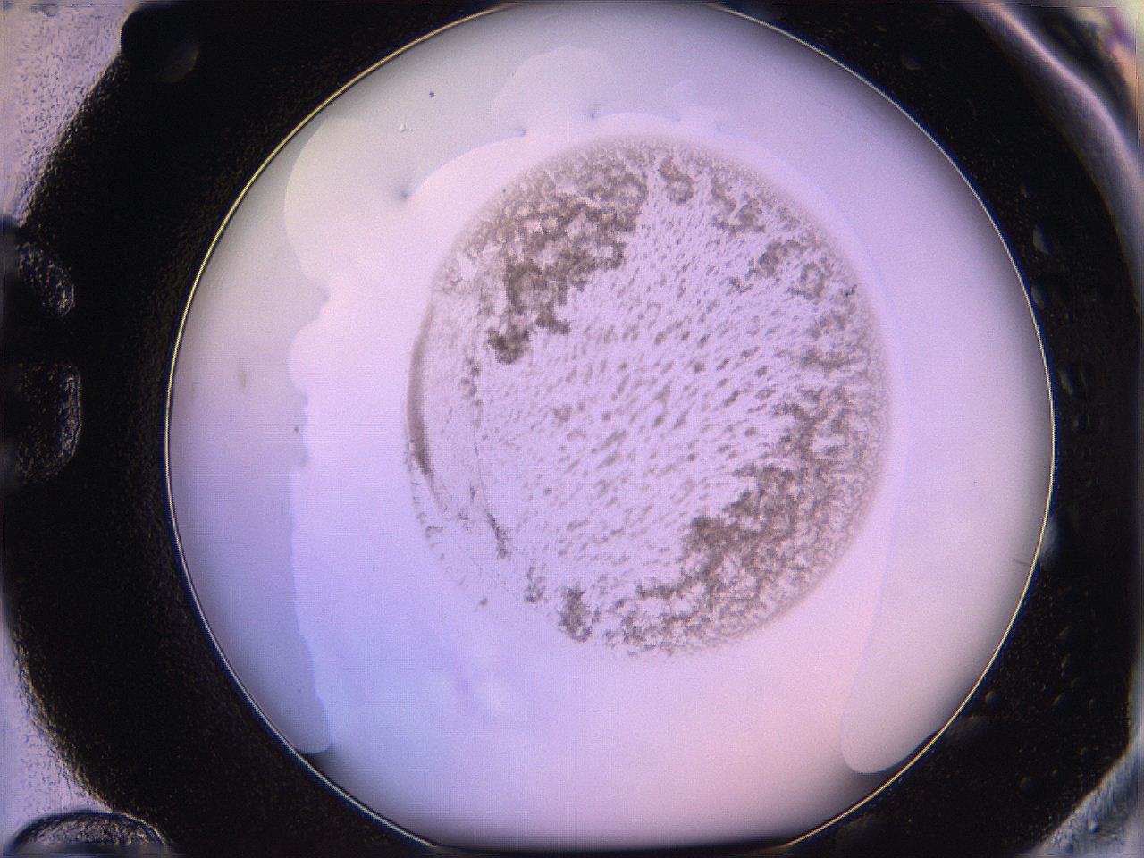05qm_G12_ImagerDefaults_3.jpg