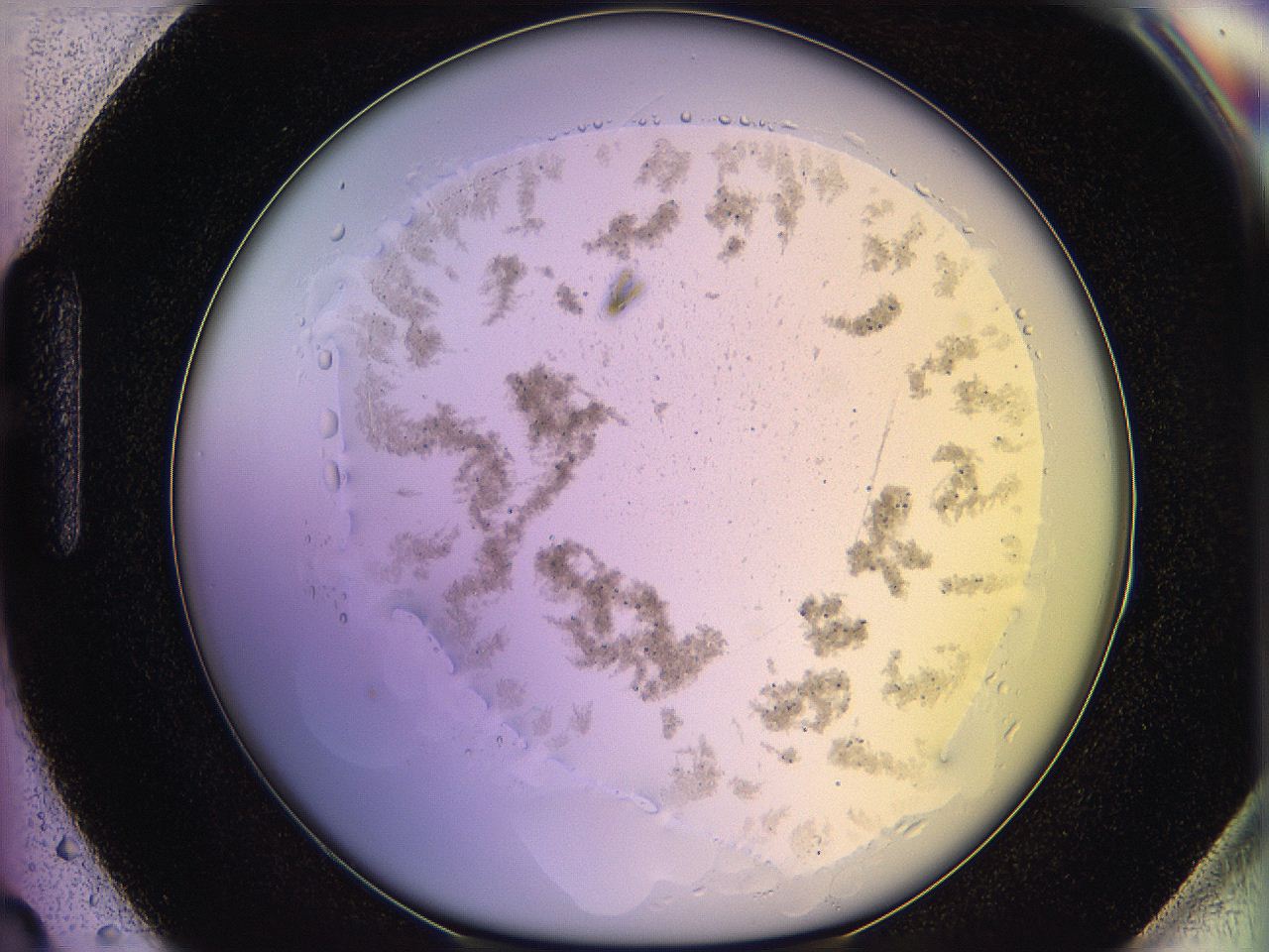 05qm_H3_ImagerDefaults_3.jpg