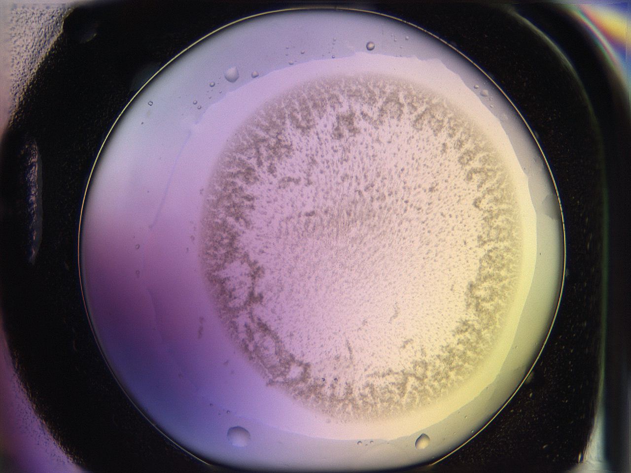 05qm_H4_ImagerDefaults_3.jpg