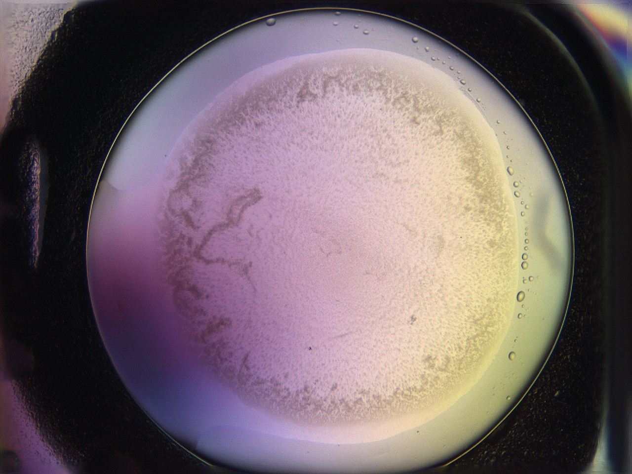 05qm_H5_ImagerDefaults_3.jpg