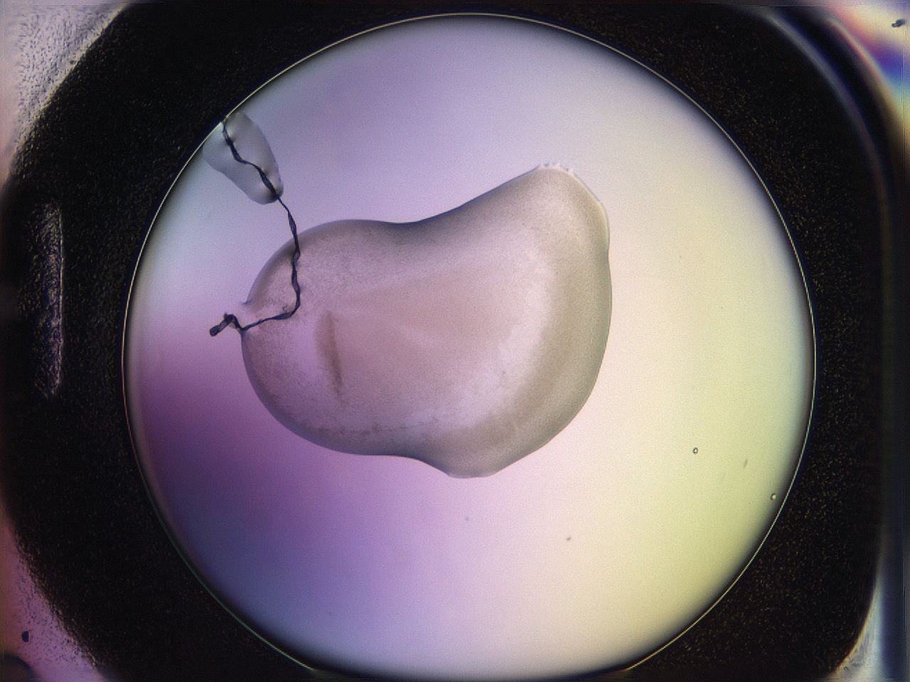 05qm_H6_ImagerDefaults_3.jpg