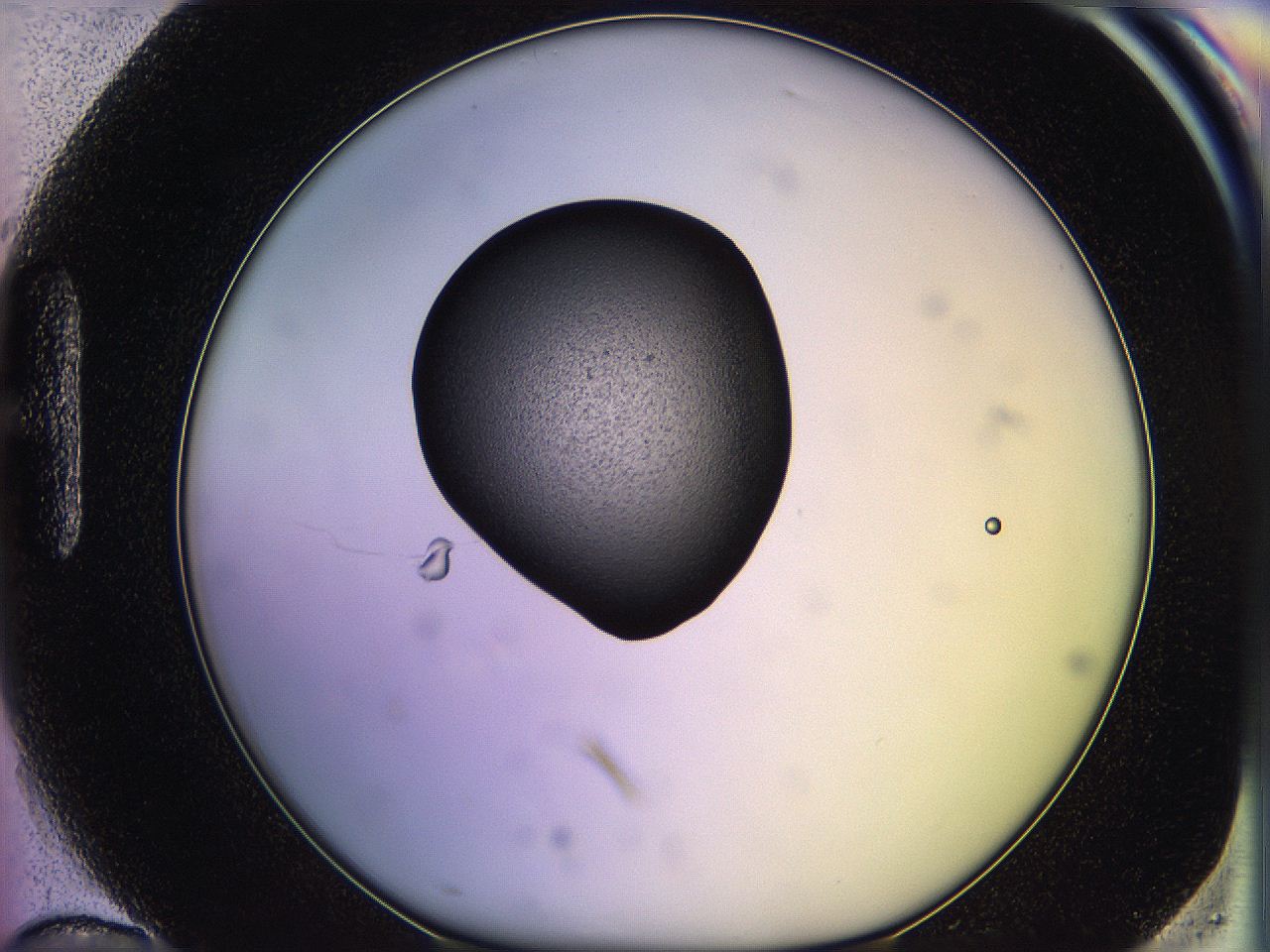 05qm_H10_ImagerDefaults_3.jpg
