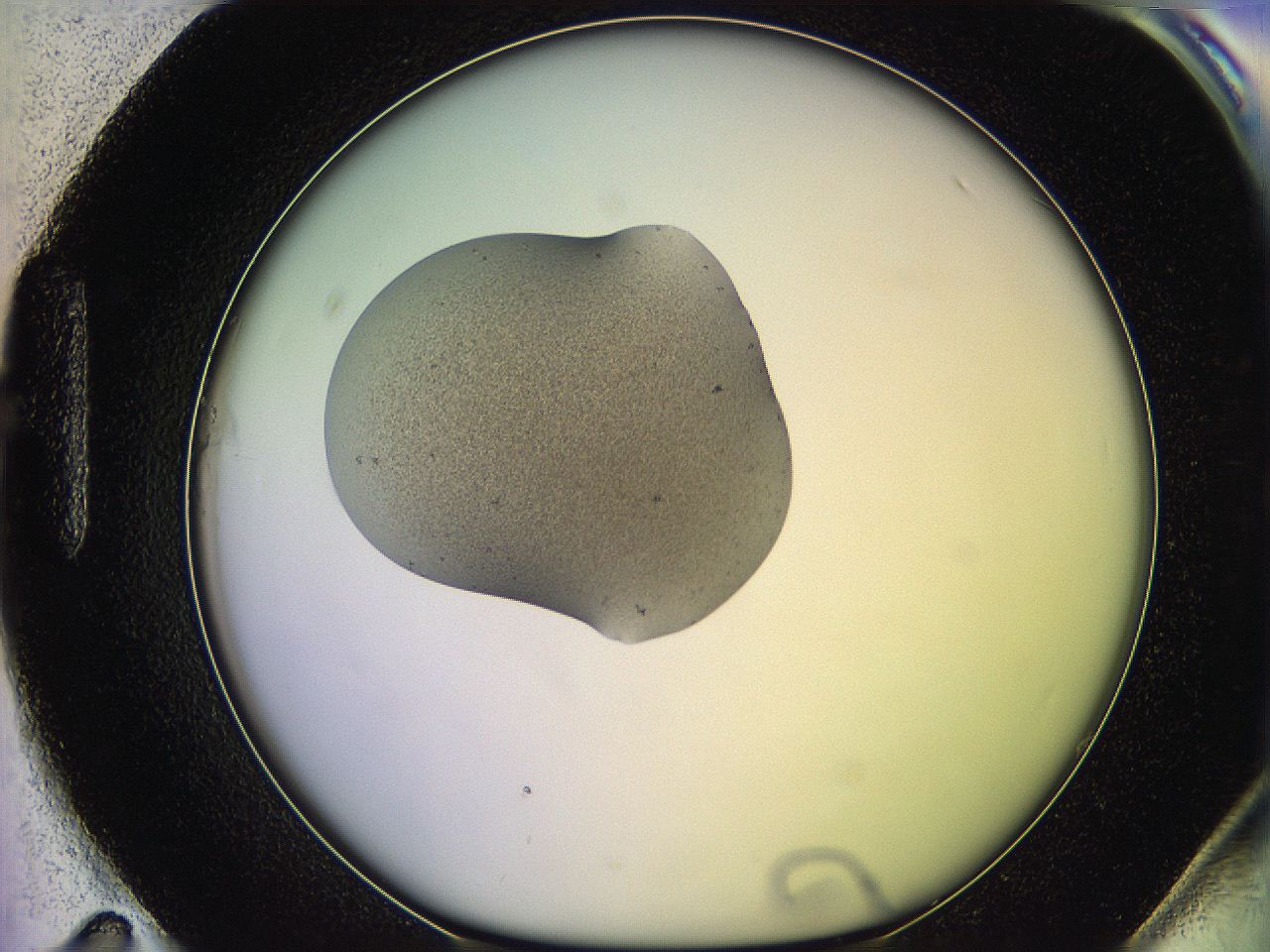 05qm_H11_ImagerDefaults_3.jpg