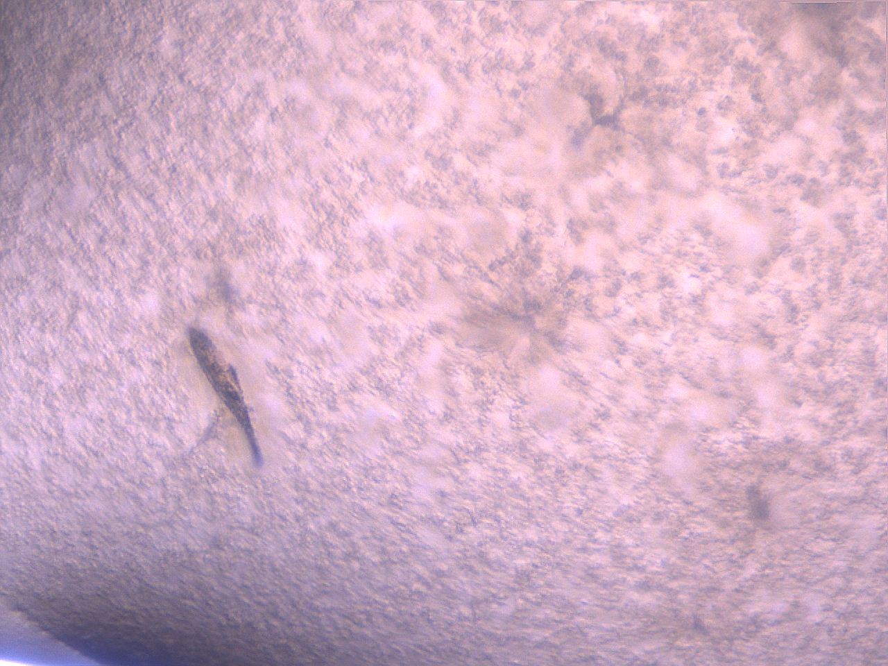 05qn_A3_ImagerDefaults_2.jpg