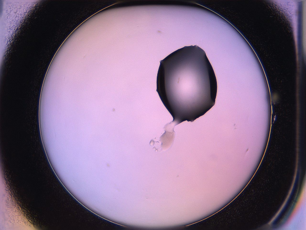 05qn_A1_ImagerDefaults_1.jpg