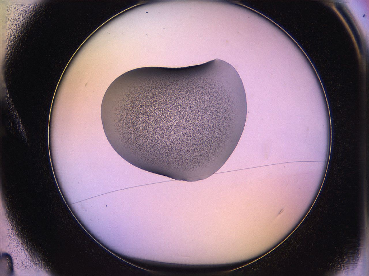 05qn_A4_ImagerDefaults_3.jpg