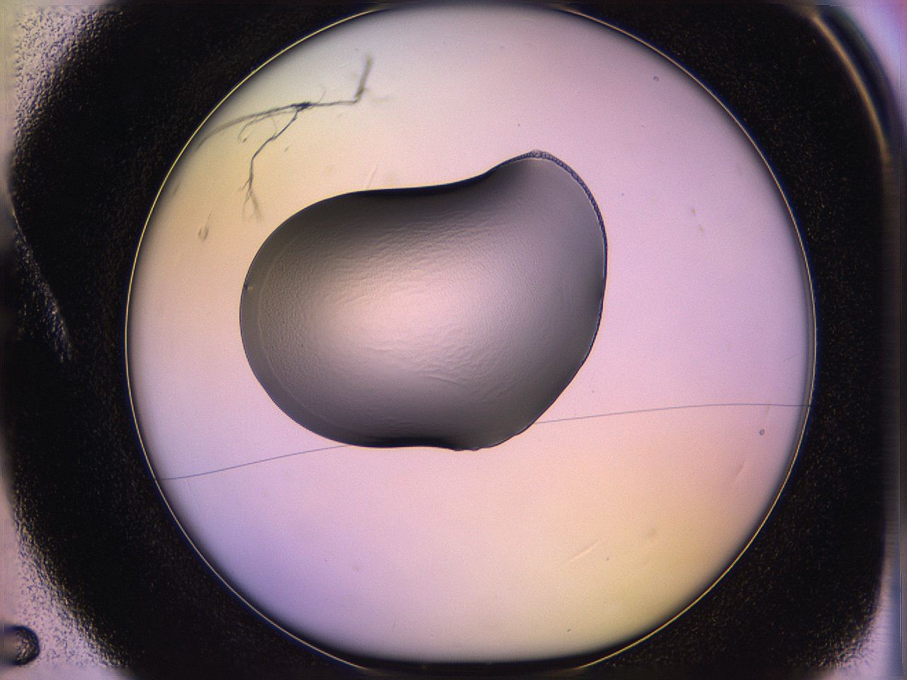 05qn_A5_ImagerDefaults_1.jpg