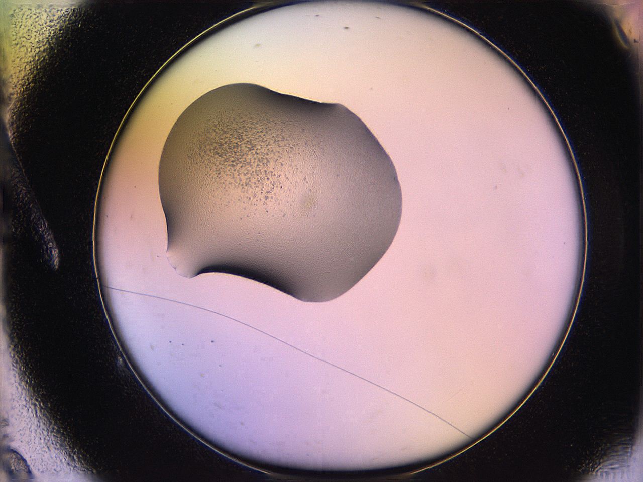 05qn_A9_ImagerDefaults_3.jpg