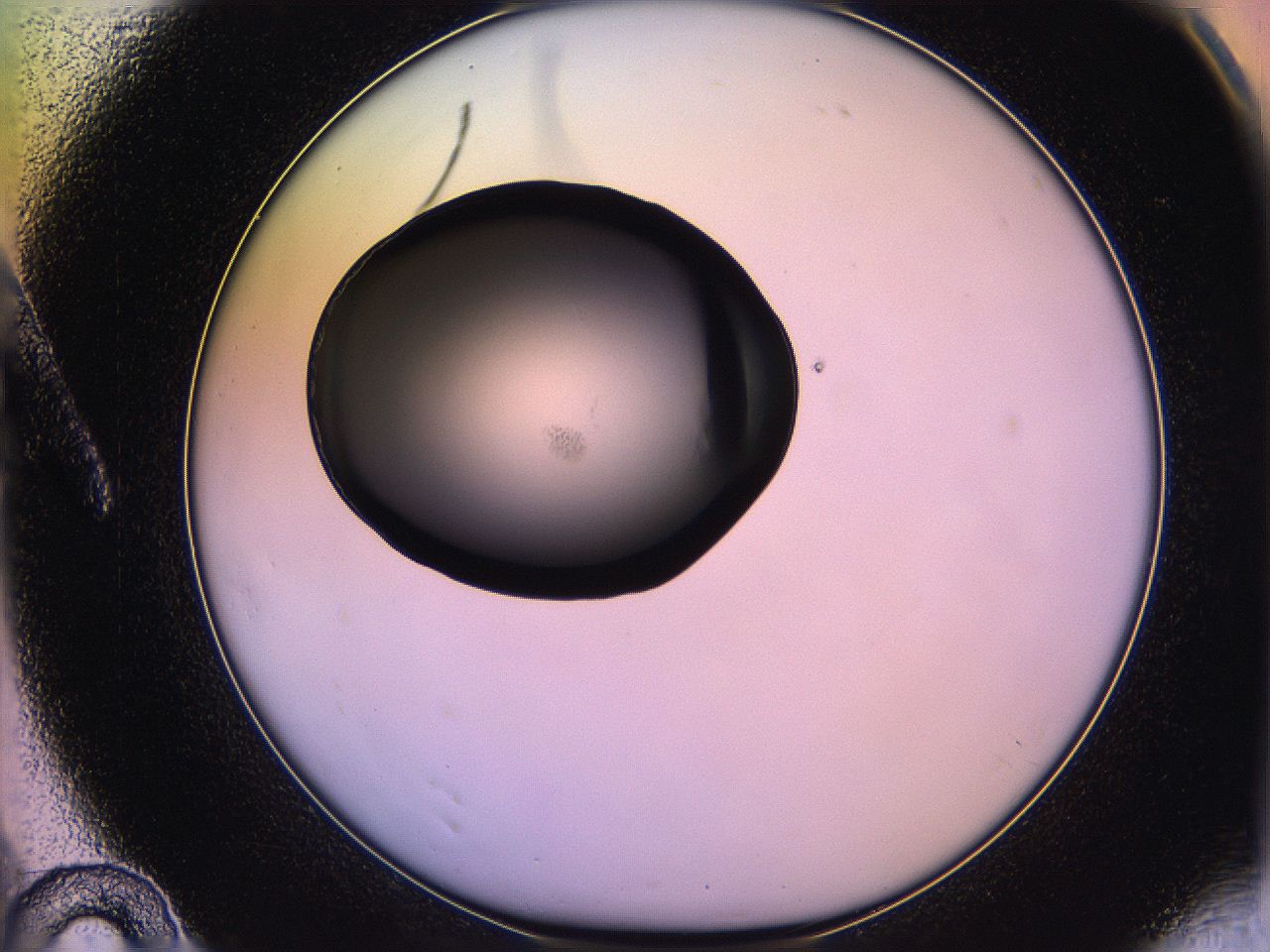 05qn_A10_ImagerDefaults_3.jpg